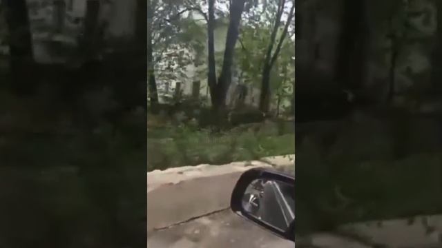 Застройщик ЖК «Одинцово-1» решил закрыть забором старые двухэтажные дома, хотя там ещё живут люди смотреть онлайн