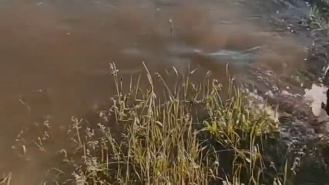 Уборка, уважающая традиции