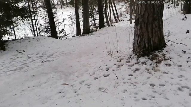 Татьяна. Встреча со 120-летней лесной жительницей. Там на неведанных дорожках... ч.2 смотреть онлайн