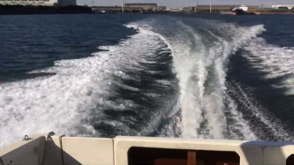 Sea Ray 310 Volvo Penta AD41 sea trial シーレイ 310 ボルボペンタ AD41 試乗 中古艇