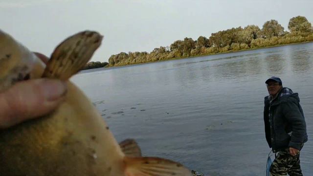 Поймали леща и линь Вот такая рыбалка на Оке смотреть онлайн