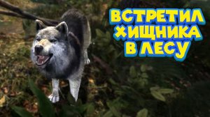 ПОСТРОИЛ ДОМ ИЩУ ЖЕНУ Medieval Dynasty