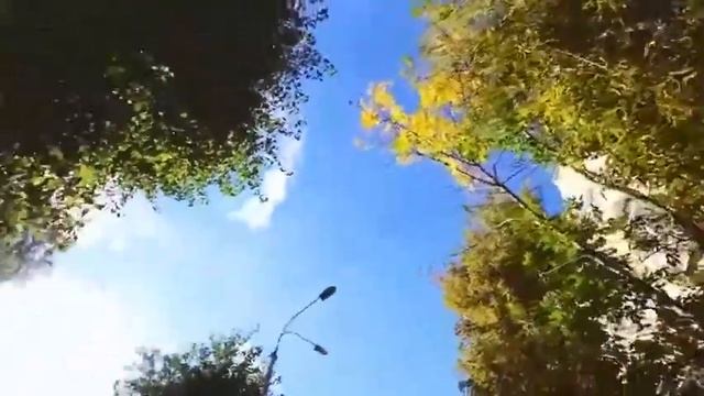 HSE RUN Москва смотреть онлайн
