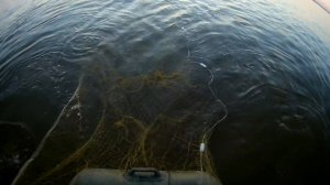 Рыбалка сплавной сетью