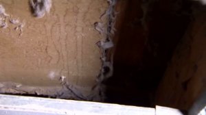 10 Страшных Звуков Из Стены, Снятых На Камеру. Зомби Чез