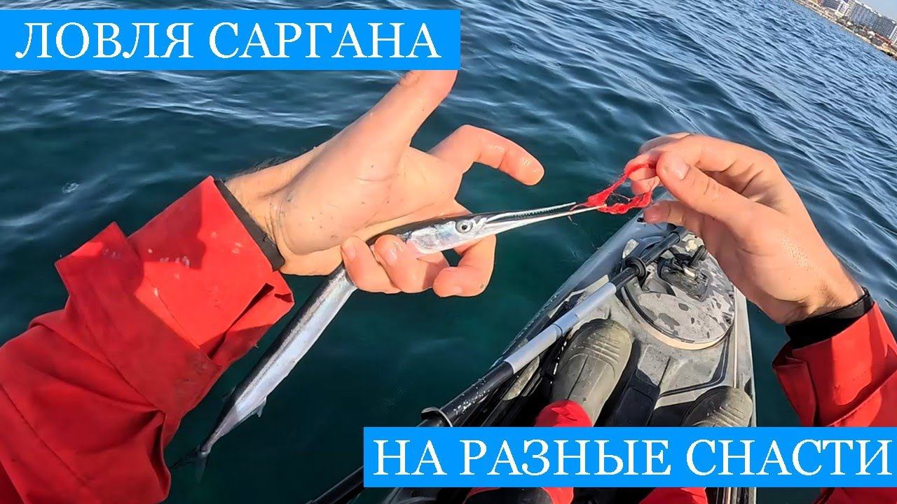 Как поймать САРГАНА без КРЮЧКА??? Февральская рыбалка на Черном Море, разные способы лова и готовки) смотреть онлайн