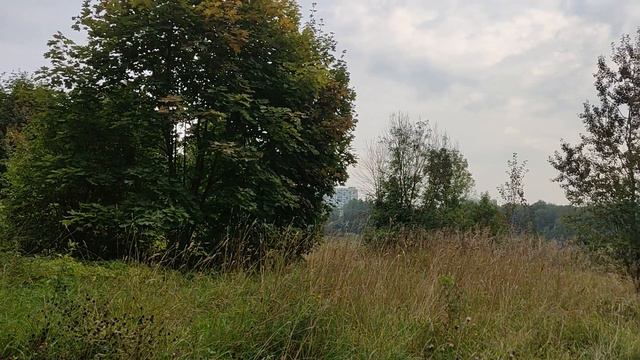 69 Вышивальный дневник 15. Август и два старта Dimensions смотреть онлайн