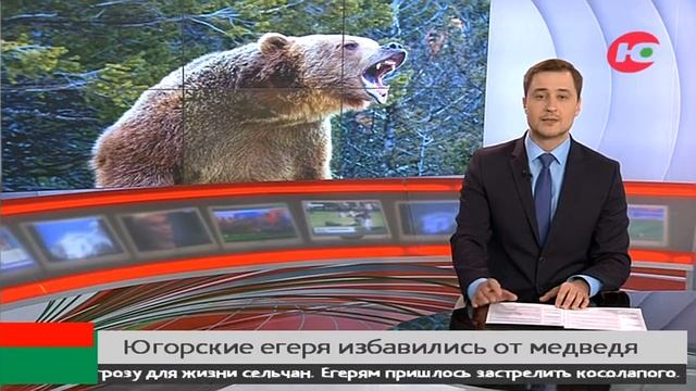 В Октябрьском районе застрелили опасного медведя смотреть онлайн