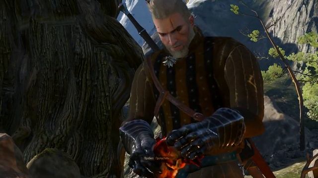 Прохождение игры The Witcher 3 Wild Hunt часть 37 (Сердце леса/Шоковая терапия) смотреть онлайн