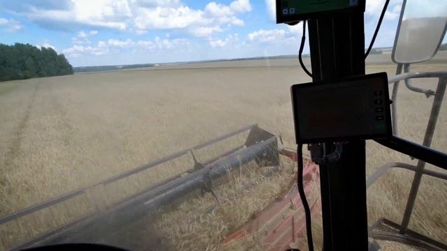 Компуктер сдох! Молотим после дождя и ремонта. смотреть онлайн