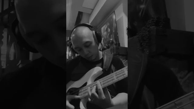 Breaking-in some fresh Sadowsky Blue Label strings on my Fender Marcus Miller смотреть онлайн