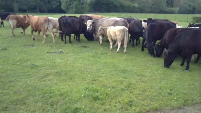 MasterJect смотреть онлайн