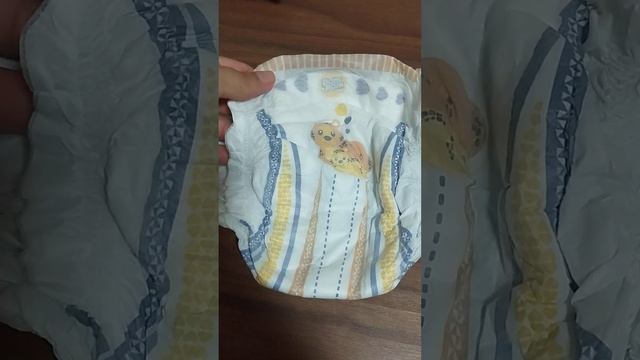 Resenha Da Fralda Pompom Proteck