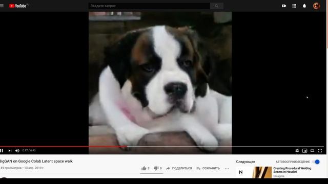 НИУ ВШЭ -- 2020.11.28 -- Порождающие состязательные сети смотреть онлайн