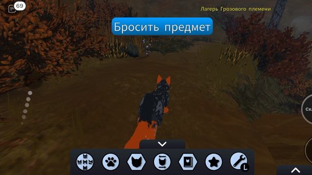 Рассказываю про котиков