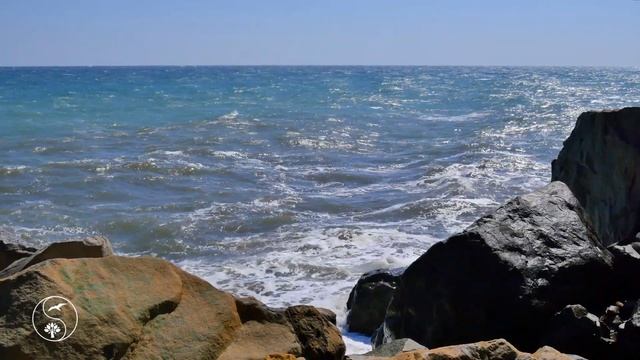 КРАСИВОЕ МОРЕ - МОРСКОЙ БРИЗ.. ДЛЯ ДУШИ ... МОРЕ | Звуки Моря для Релаксации и медитации смотреть онлайн