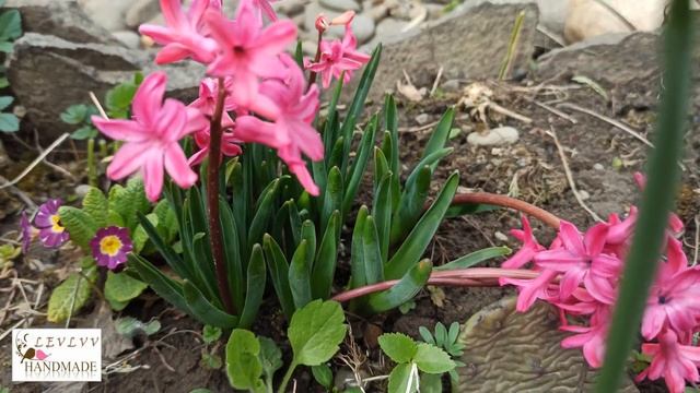 Весна Цветы 2022 смотреть онлайн