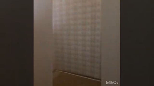 г. махачкала 3ком. дом сделан под комерцию по цене 1ком квартиры в махачкале смотреть онлайн