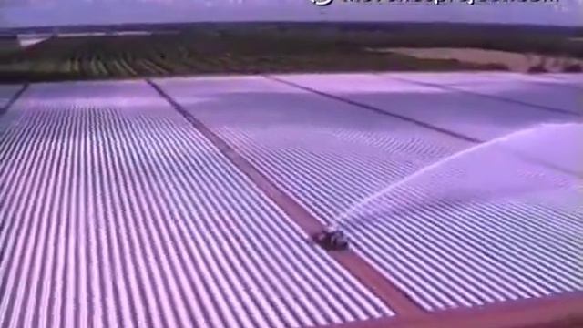 Welcome to the Future 1998 by Jacque Fresco смотреть онлайн