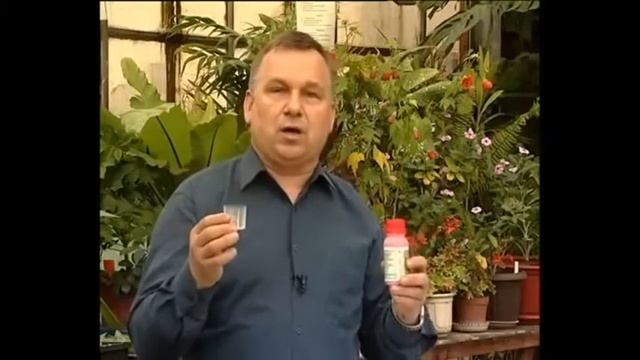 Проект престиж смотреть онлайн