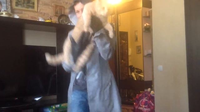Косплей на Ассасина от Хитрого Лиса смотреть онлайн