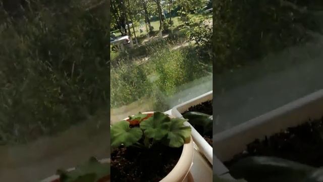 Добро. Пятница. Жара. 25.06.2021 смотреть онлайн