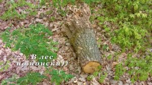 Беседка своими руками из бревен