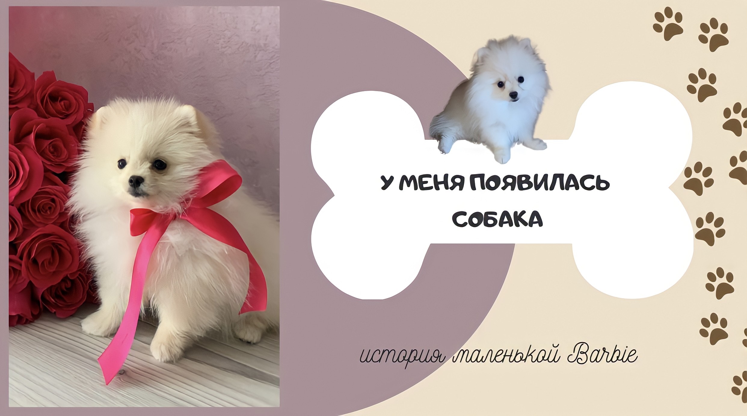 У МЕНЯ ПОЯВИЛАСЬ СОБАКА?