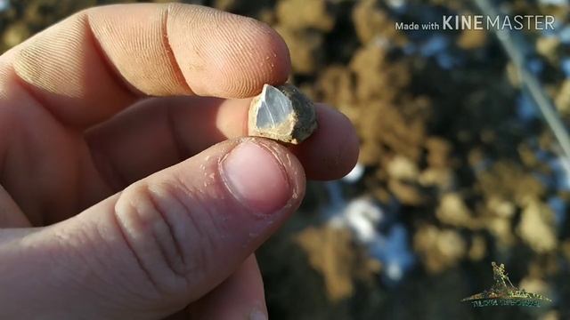 Довгоочікуване повернення!). Пошук із Фортуною М3 PL.