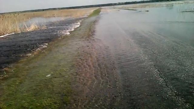 Нововаршавка - Разлив 2016 вода идёт через асфальт смотреть онлайн