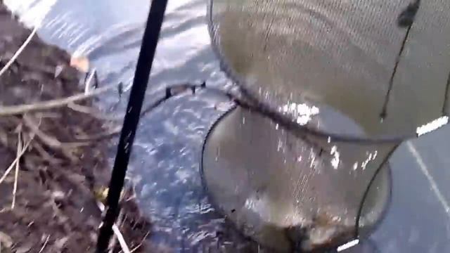 Рыбалка на СУПЕР СНАСТЬ. Китайская снасть кормушка с сетью. смотреть онлайн