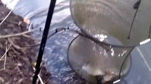 Рыбалка на СУПЕР СНАСТЬ. Китайская снасть кормушка с сетью.