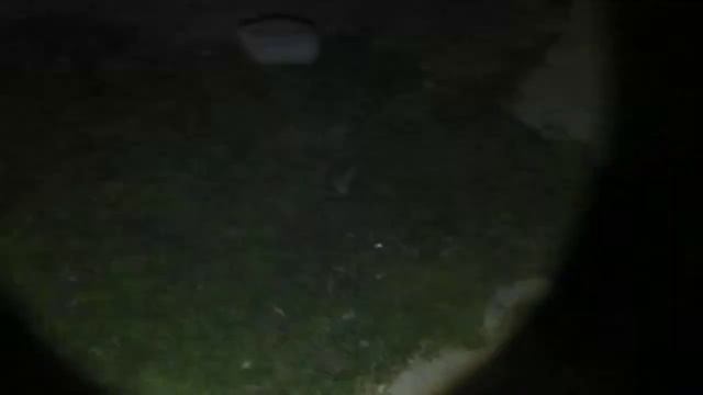 cree power light смотреть онлайн