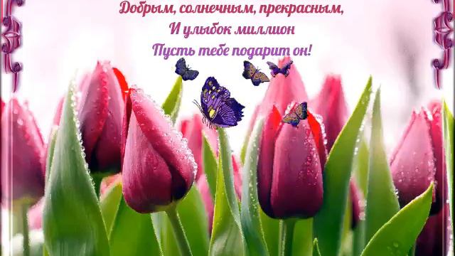 Доброе утричко)) смотреть онлайн