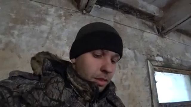 Как организован уход за свиньями и кормление смотреть онлайн