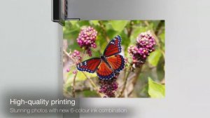 Epson ECOTANK L8160