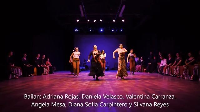 Sevillanas Pink- Reyes Díaz Flamenco смотреть онлайн