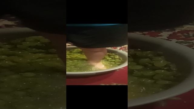 VID_20201018_170239.mp4