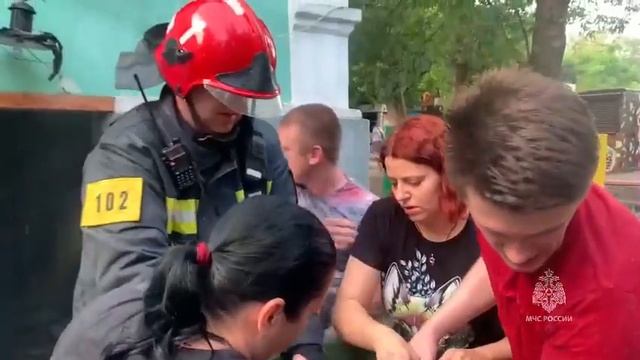 МЧС спасает животных из горящего Ростовского зоопарка смотреть онлайн