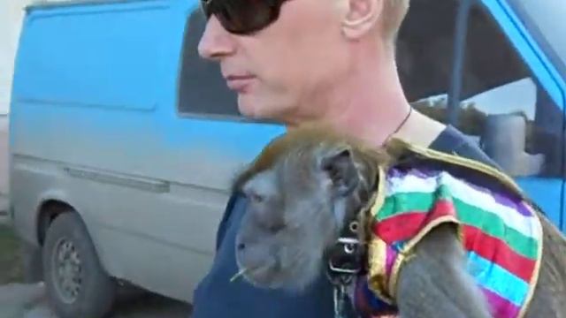 Змея в День Выпускника у Цирка... смотреть онлайн