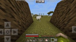 как получить рог в Майнкрафт