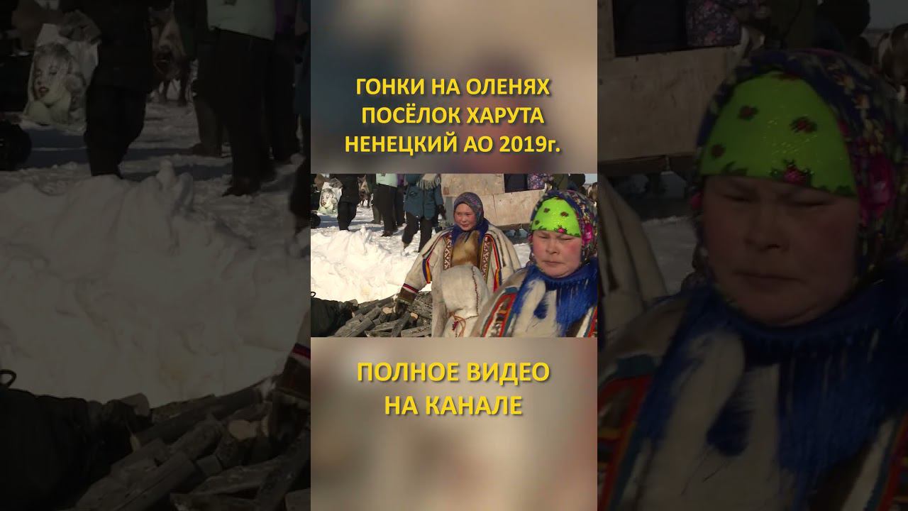 ГОНКИ НА ОЛЕНЯХ DEER RACES 1 SHORTS #SHORTS смотреть онлайн