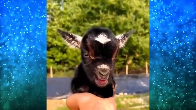 После просмотра видео вы долго будете приходить в себя! BПEЧATЛИTEЛЬHЬIM подойти к экрану! смотреть онлайн