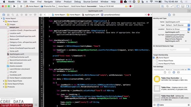 Mastering iOS Core Data with Swift: JSON Data and Dictionary смотреть онлайн