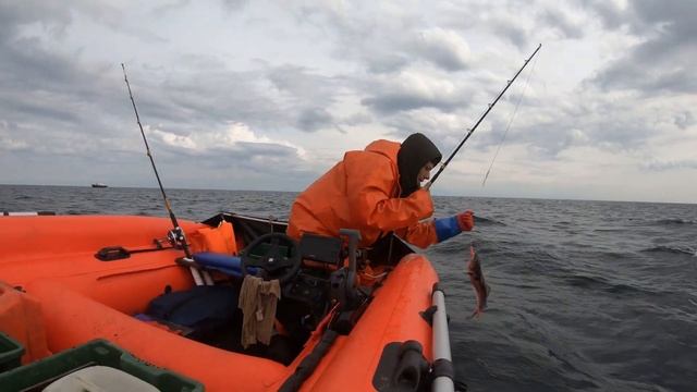 18 мая 2021г Активный клев Пикши!!!