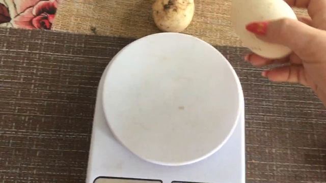 Разница Гусиных яиц, утиных и куриных/Хранение и сбор смотреть онлайн