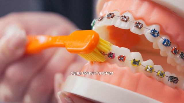 Ортонабор Revyline Dental Kit смотреть онлайн