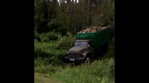 ЗИЛ 131 груженный дровами преодолевает обочину