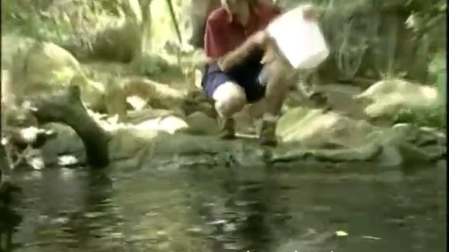 Животные в зоопарках, оформление вольер в "диком" стиле смотреть онлайн