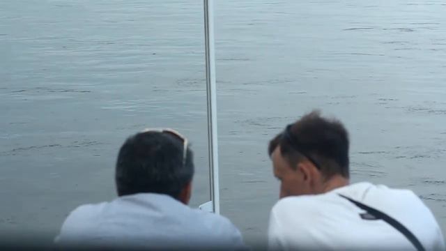Амур в районе Благовещенска и сразу 3 Романа из Шимановска случайно встретились на пароходе смотреть онлайн